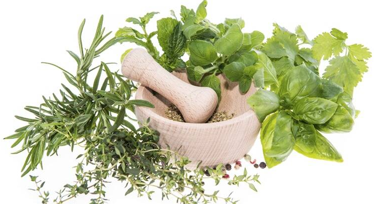 Which herbs should be in your diet?